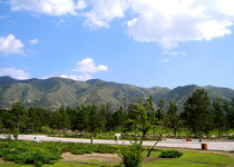 臨潼驪山森林公園天氣