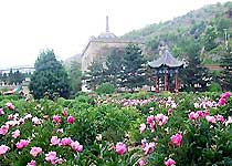 延安萬花山天氣