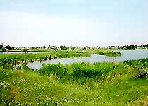 合陽(yáng)洽川風(fēng)景名勝區(qū)天氣