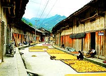 寧強青木川保護區·古鎮天氣