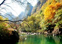 南鄭黎坪森林公園天氣