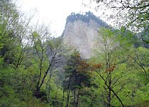 略陽五龍洞國家森林公園天氣