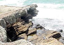 離島坪洲天氣