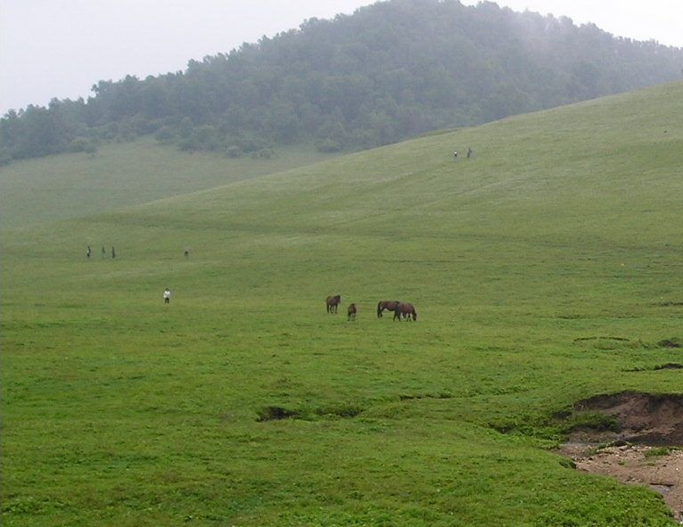 寶雞關山牧場-龍泉山莊天氣