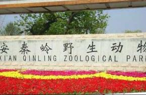 西安秦嶺野生動物園天氣