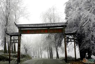 乳源南方紅豆杉森林公園天氣