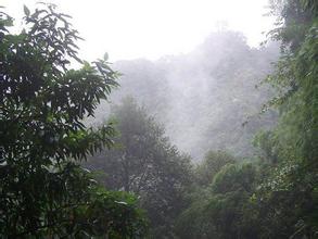 乳源石坑崆峰天氣