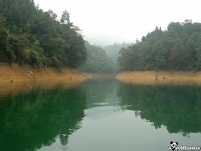 惠東大星山炮臺天氣