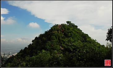 東莞長安郊野公園天氣