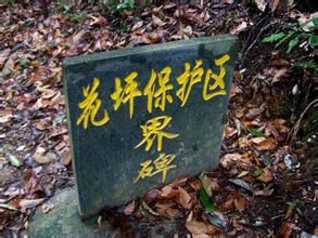 龍勝花坪自然保護區天氣