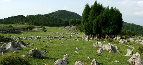 忠縣千野草場天氣