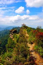 石柱龍骨寨天氣