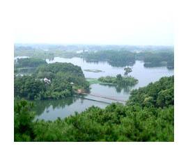 大足玉龍山國家森林公園天氣