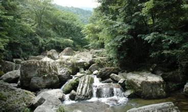 酉陽大板營天氣