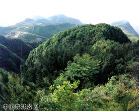 萬(wàn)州鐵峰山國(guó)家森林公園天氣