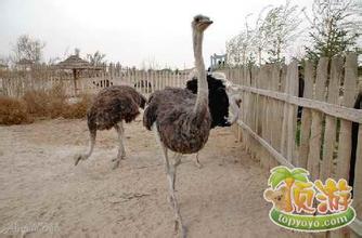 武威神州荒漠野生動物園天氣