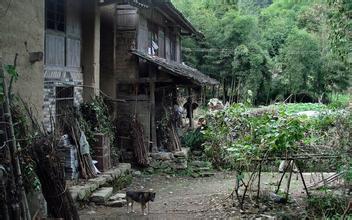 泰順徐岙底古村落天氣