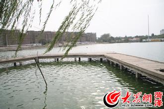 菏澤青年湖公園天氣
