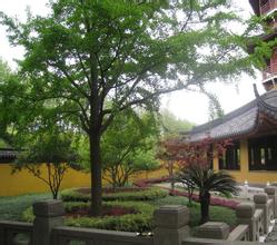 蘇州報國寺天氣