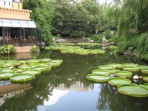 泰興人民公園天氣