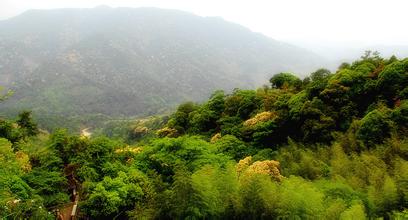 永定東華山天氣