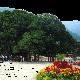 福州國家森林公園天氣