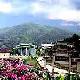龍巖中川古村落（虎豹別墅）天氣