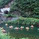 三明溪河水上旅游區天氣