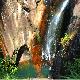 柘榮九龍井天氣