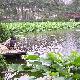 福州茶亭公園天氣