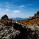 武夷山黃崗山天氣