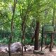 撫順猴石森林公園天氣