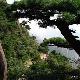 丹東大孤山天氣