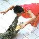 大連洋信鱷魚園天氣