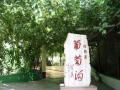 吐魯番葡萄溝天氣