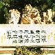 酒泉公園天氣
