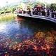 定西玉湖公園天氣