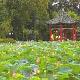 臺北植物園天氣
