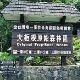 臺(tái)灣大板根森林天氣