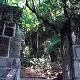 臺灣芝山巖隘門天氣