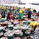臺中梧棲假日魚市天氣