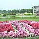 臺灣新生公園天氣
