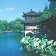 西湖曲院風(fēng)荷天氣