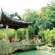 西湖龍井八景天氣
