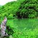 桐廬垂云通天河（地下大峽谷）天氣