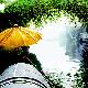 紹興柯橋古鎮(zhèn)天氣