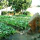 紹興百草園天氣