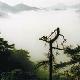 金華小黃山畬族風情村天氣