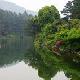 安吉竹種園天氣