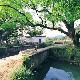 麗水蓮都通濟(jì)堰天氣